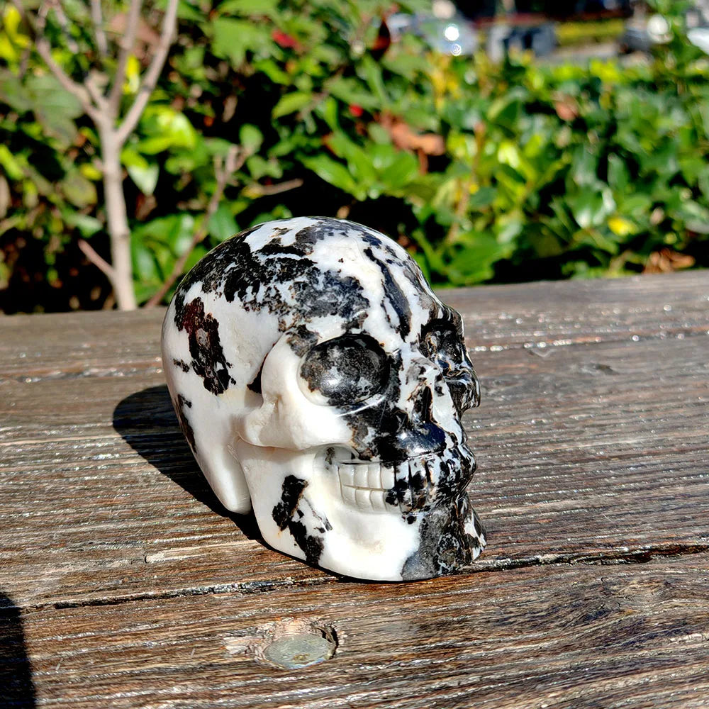 Black White Zebra Jasper Skull-ToShay.org