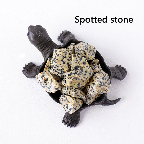 Mixed Crystal Turtles-ToShay.org