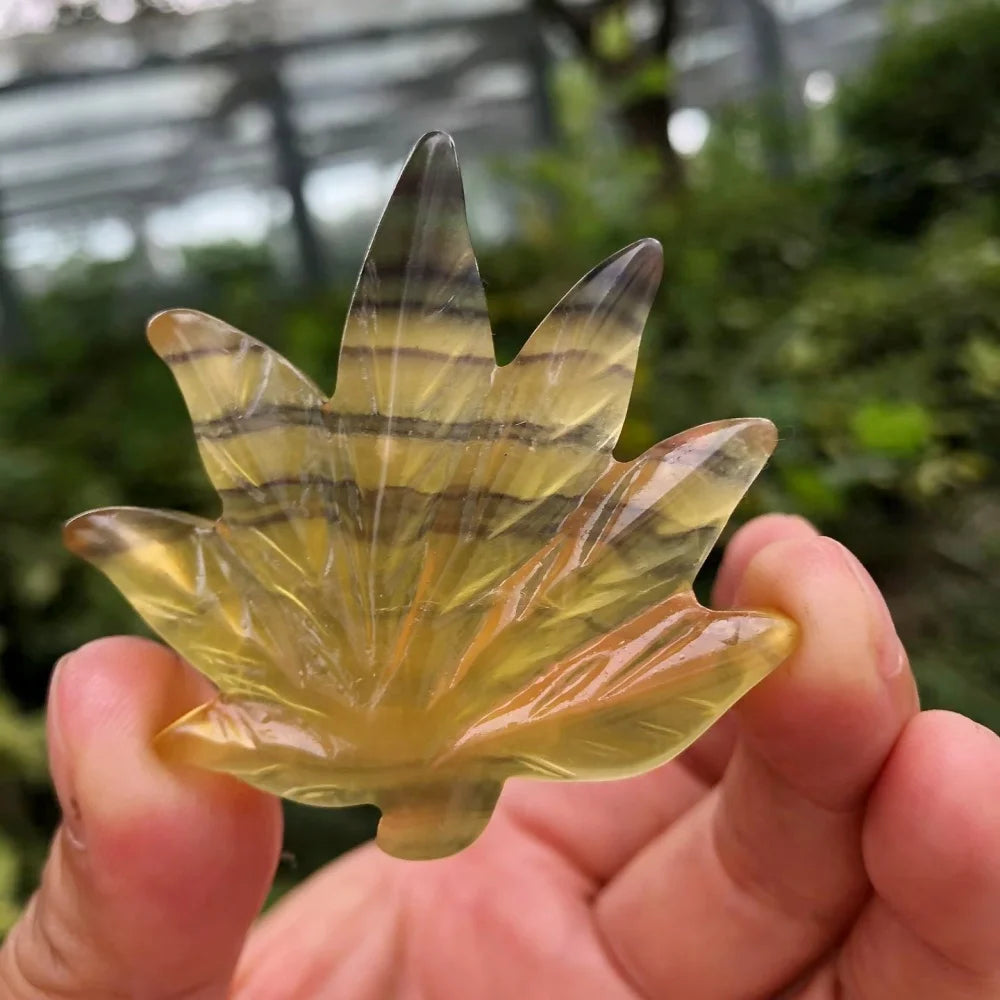 Mixed Crystal Leaf-ToShay.org