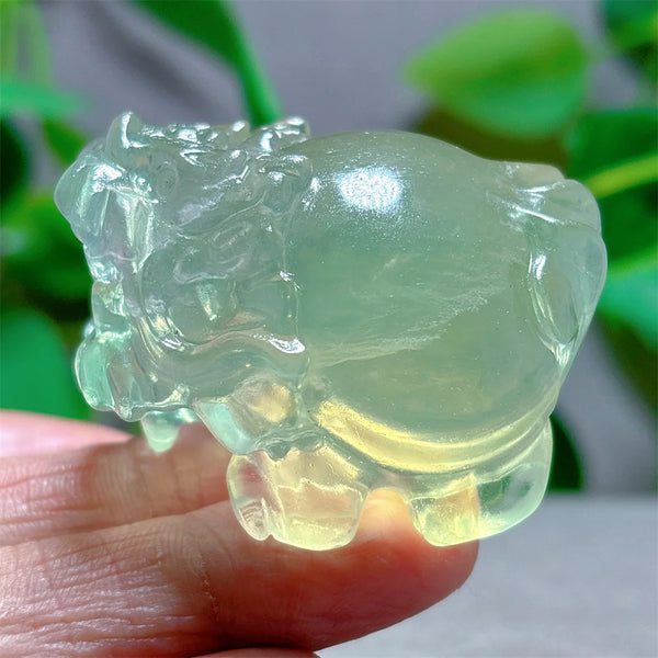 Rainbow Fluorite Dragon Turtle-ToShay.org