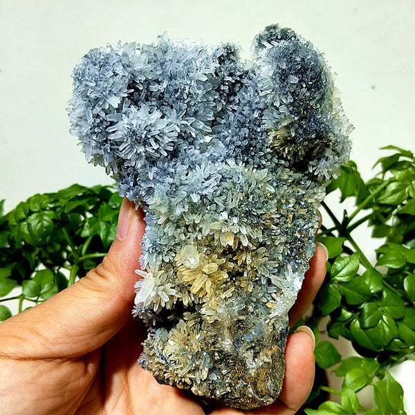 Purple Chrysanthemum Fluorite Crystal-ToShay.org