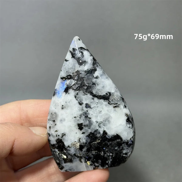 Black Tourmaline Moonstone-ToShay.org