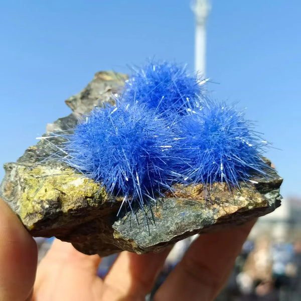 Blue Zeolite Azurite Clusters-ToShay.org