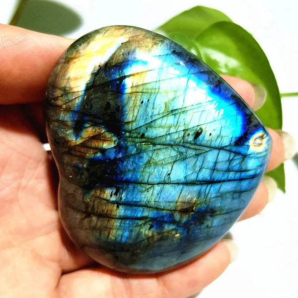 Blue Labrador Heart-ToShay.org