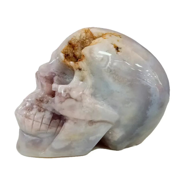 Mixed Crystal Skulls-ToShay.org