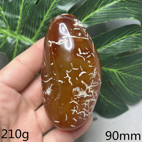 Yellow Silk Agate-ToShay.org