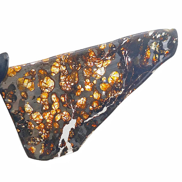 Olive Meteorite Slice-ToShay.org