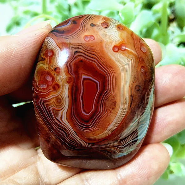 Red Sardonyx Lace Agate-ToShay.org