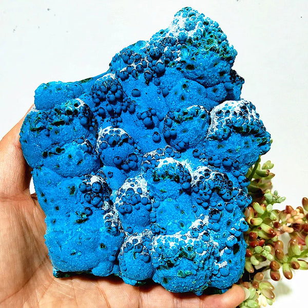 Blue Chrysocolla Crystal-ToShay.org
