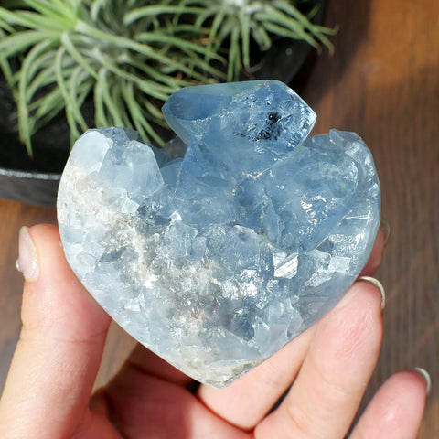 Blue Celestite Cluster Geode-ToShay.org