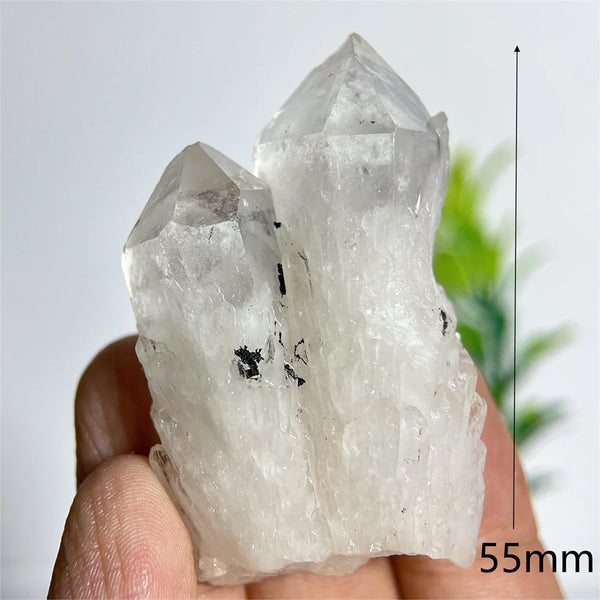 Clear Pineapple Quartz Cluster-ToShay.org