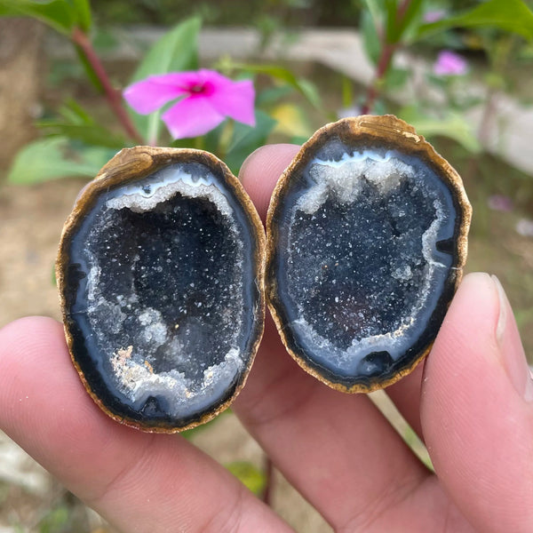 Mixed Agate Geode Egg-ToShay.org
