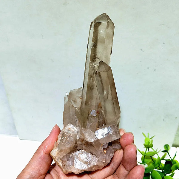 Clear Crystal Cluster-ToShay.org