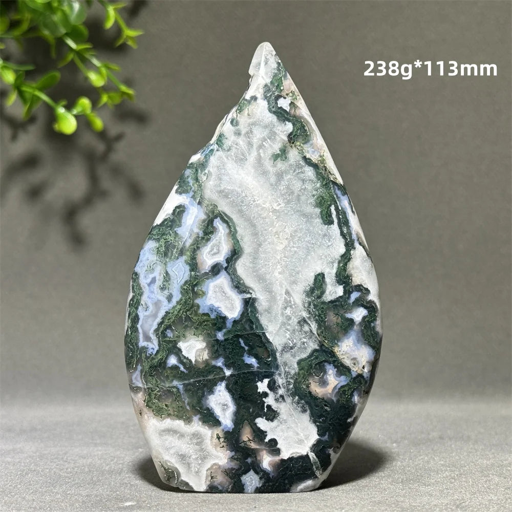 Green Aquatic Plant Agate-ToShay.org