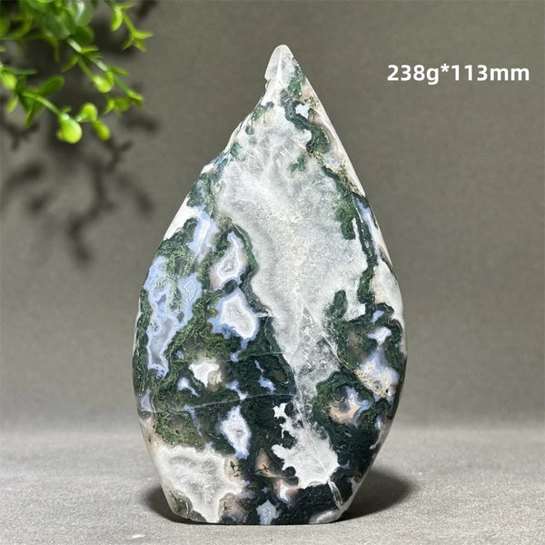 Green Aquatic Plant Agate-ToShay.org