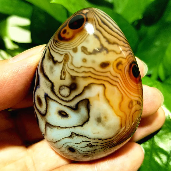 Red Lace Sardonyx Agate-ToShay.org