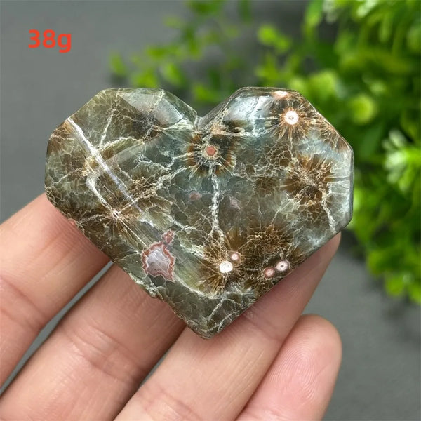 Green Ocean Jasper-ToShay.org