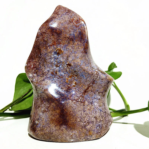 Ocean Jasper Point Flame-ToShay.org