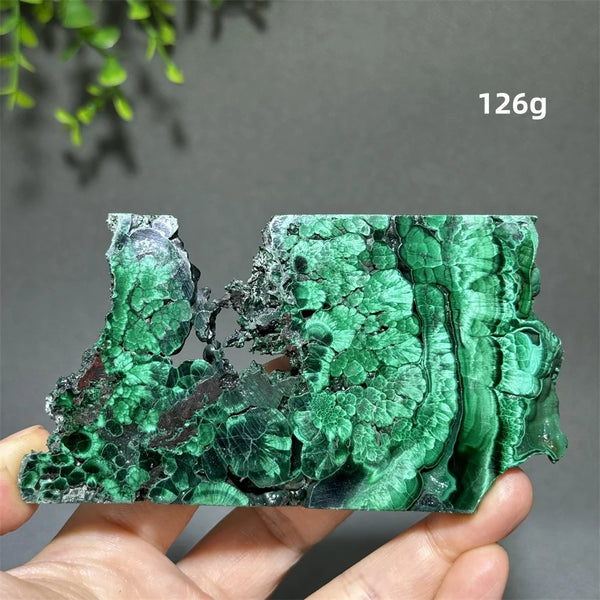 Green Malachite Slice-ToShay.org