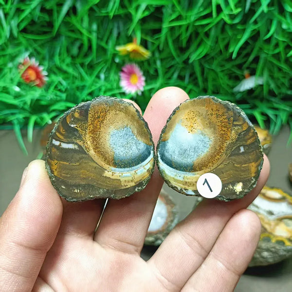 Mixed Crystal Agate-ToShay.org
