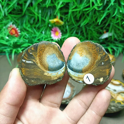 Mixed Crystal Agate-ToShay.org