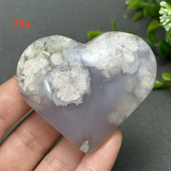 Black Cherry Blossom Agate-ToShay.org