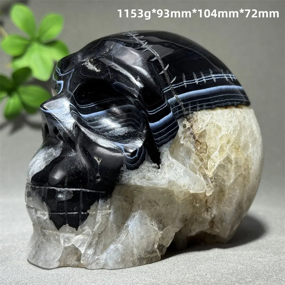 Black Agate Skull-ToShay.org