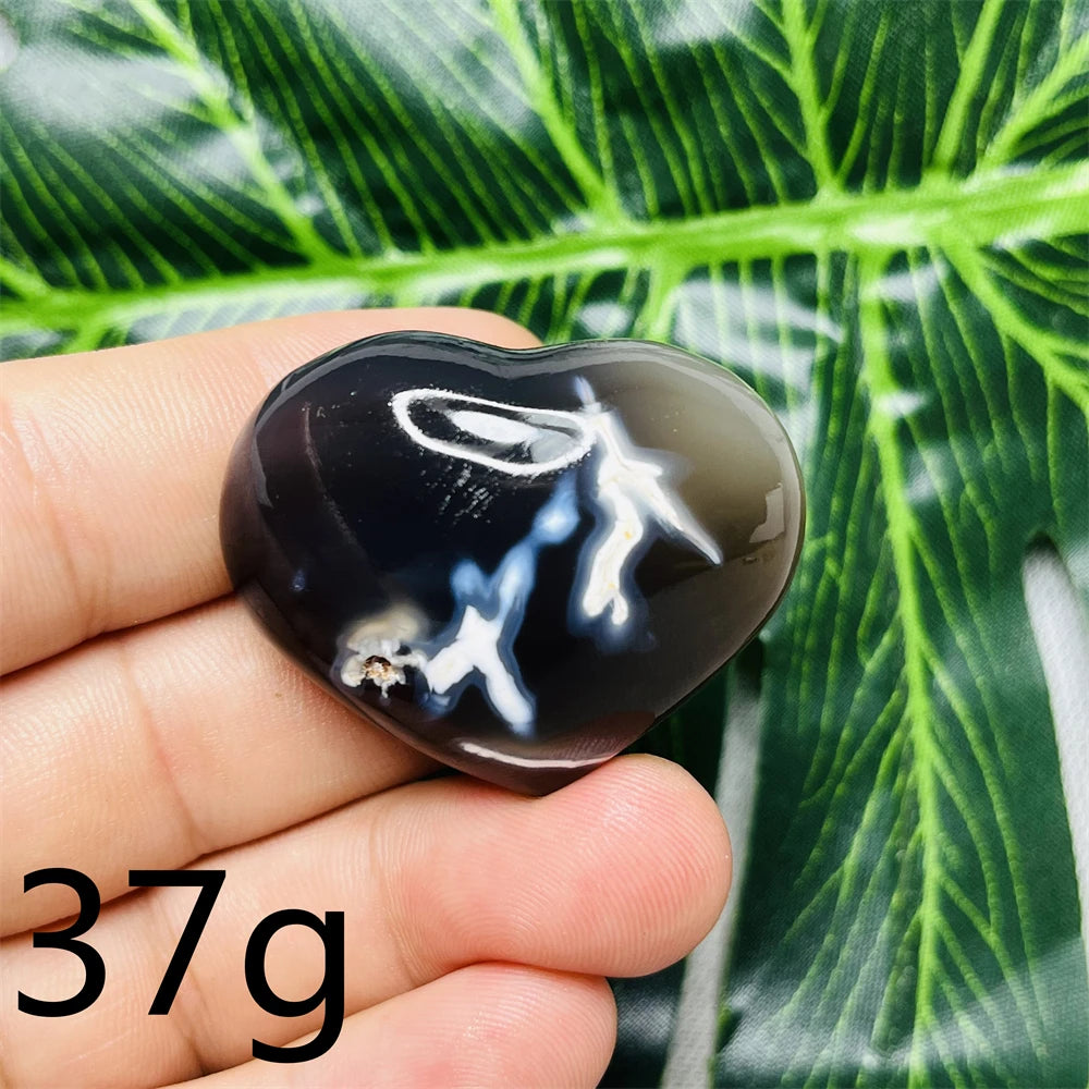 Black White Orca Agate-ToShay.org