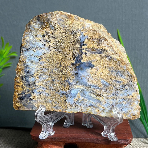 Yellow Hair Agate Slab-ToShay.org