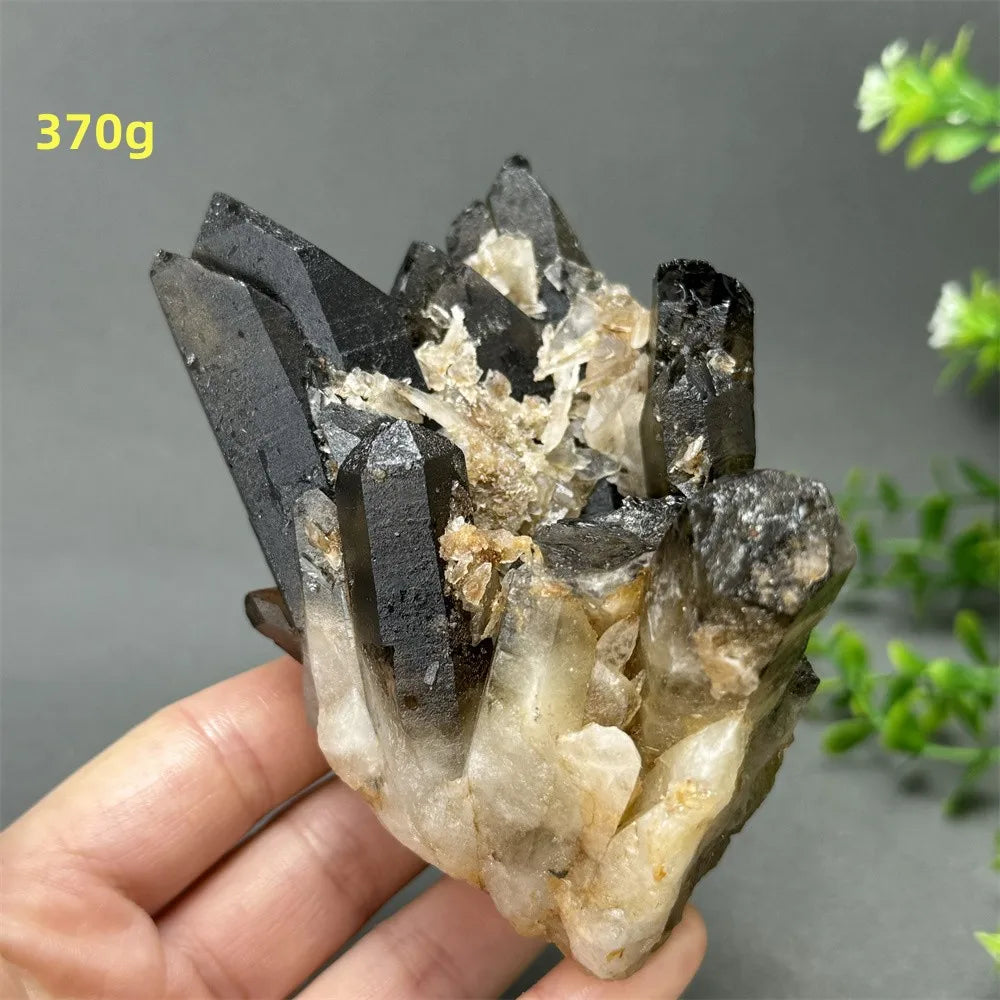 Black Quartz Crystal-ToShay.org