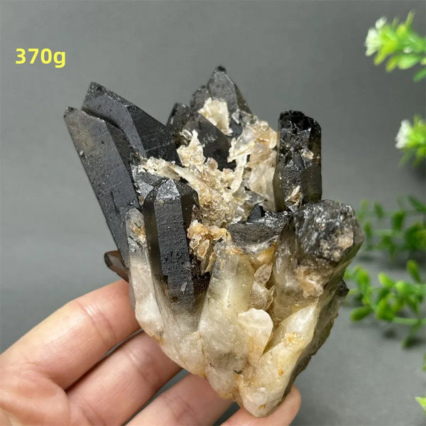 Black Quartz Crystal-ToShay.org