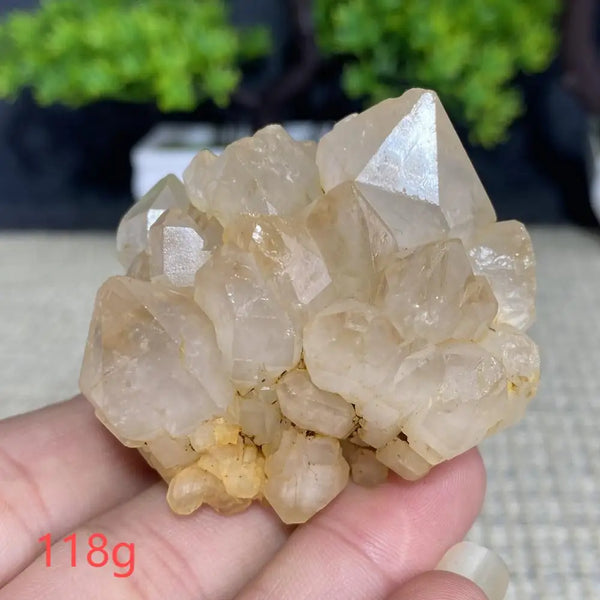 White Quartz Crystal Cluster-ToShay.org