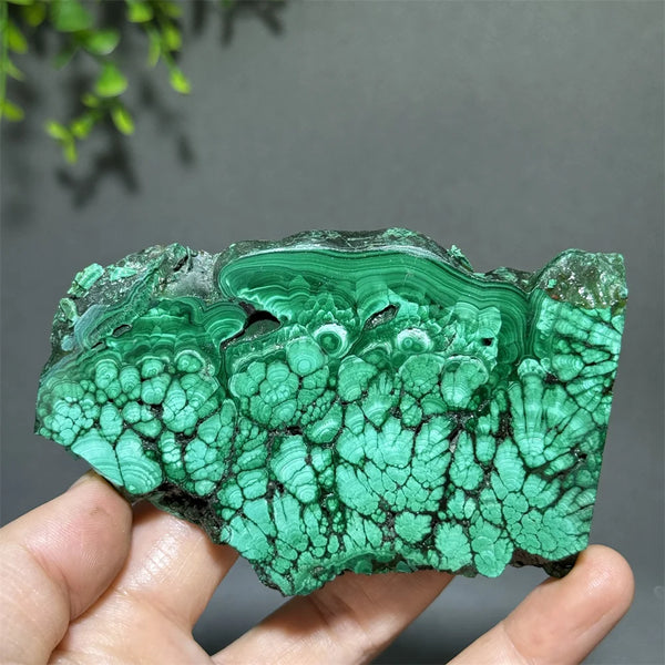 Green Malachite Slice-ToShay.org