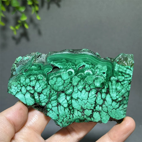 Green Malachite Slice-ToShay.org