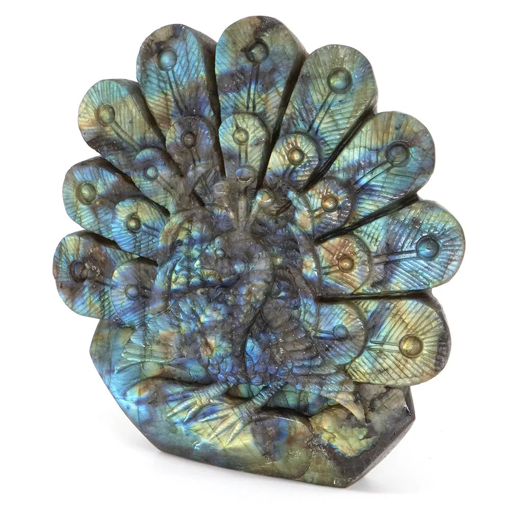 Blue Labradorite Peacock-ToShay.org
