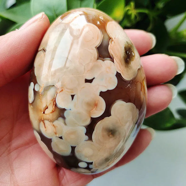 Mixed Lace Sardonyx Agate-ToShay.org