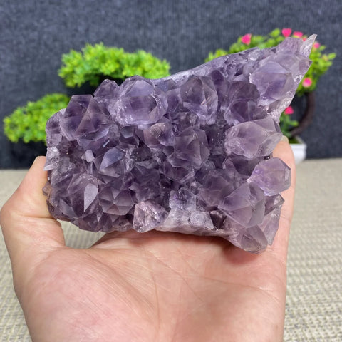Purple Amethyst Crystal Cluster-ToShay.org