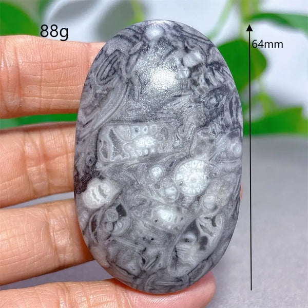 Black White Shellstone-ToShay.org