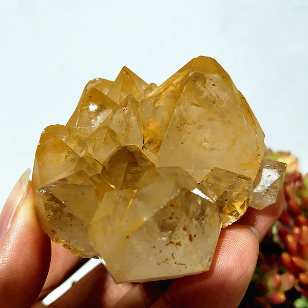 Yellow Mud Sparkling Clusters-ToShay.org
