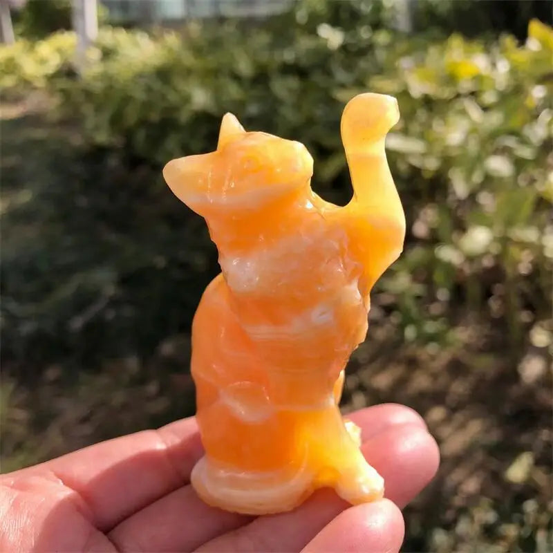Mixed Crystal Cats-ToShay.org