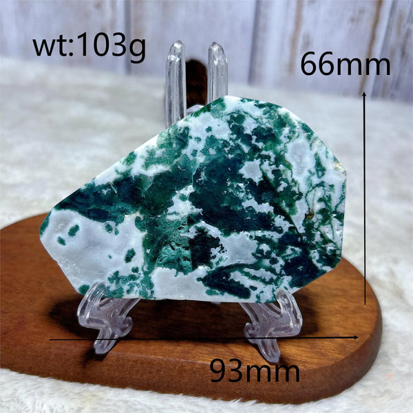 Green Moss Agate Slice-ToShay.org