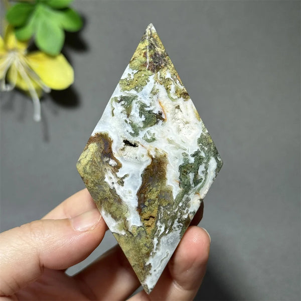 Green Aquatic Plant Agate-ToShay.org