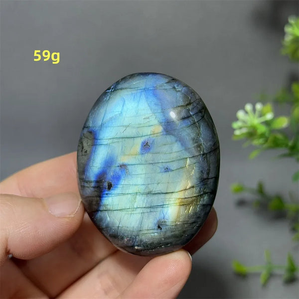 Blue Labrador Palm Stone-ToShay.org