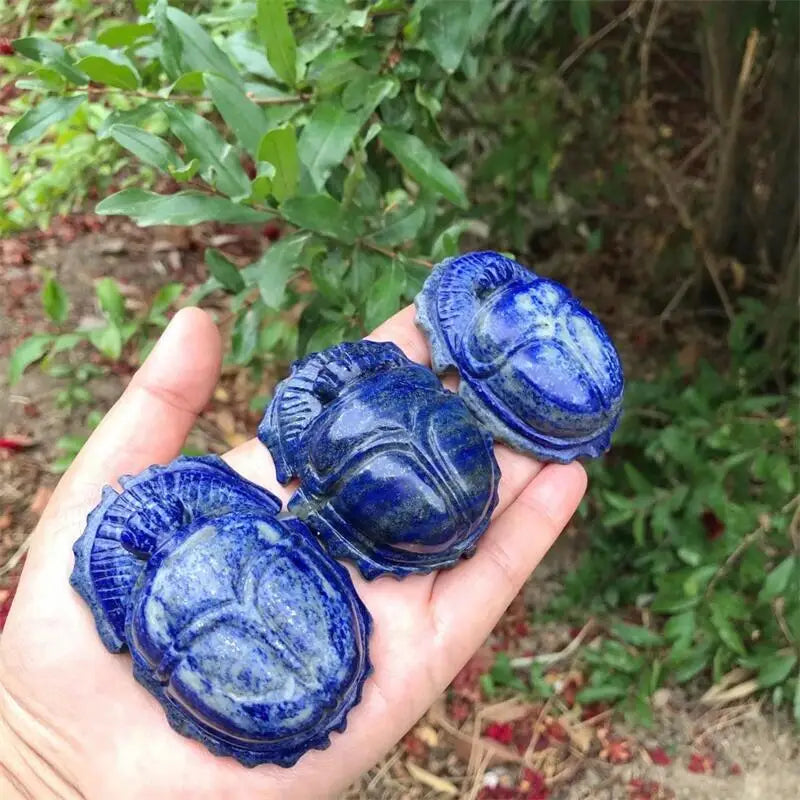 Blue Lapis Lazuli Beetle-ToShay.org