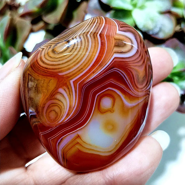 Red Lace Sardonyx Agate-ToShay.org