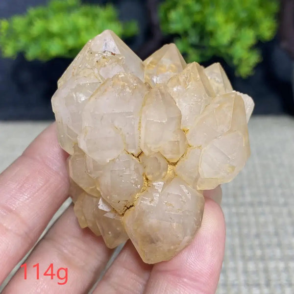 White Quartz Crystal Cluster-ToShay.org