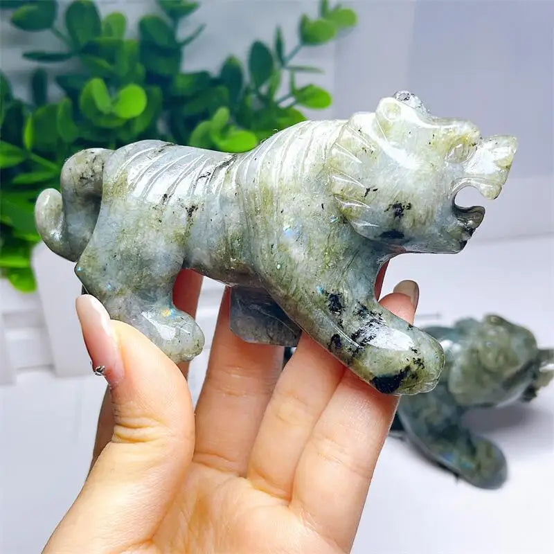 Blue Labradorite Tiger-ToShay.org