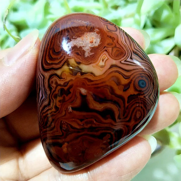 Red Sardonyx Lace Agate-ToShay.org