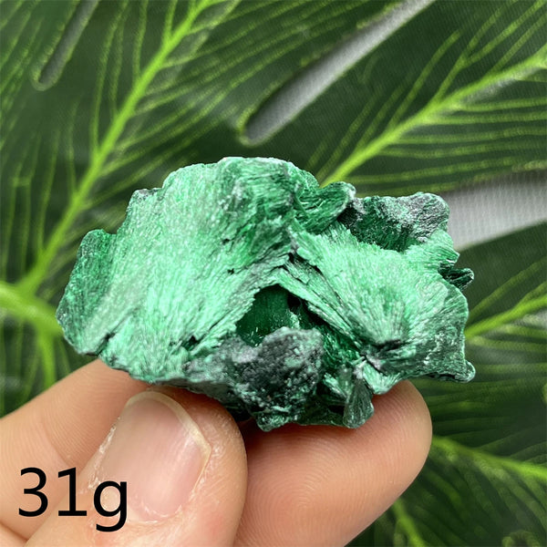 Green Malachite Silk Luster Crystal-ToShay.org