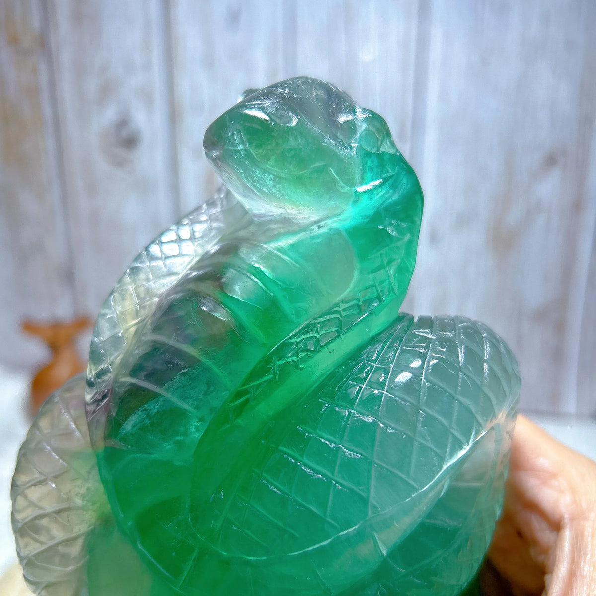 Green Fluorite Snake-ToShay.org
